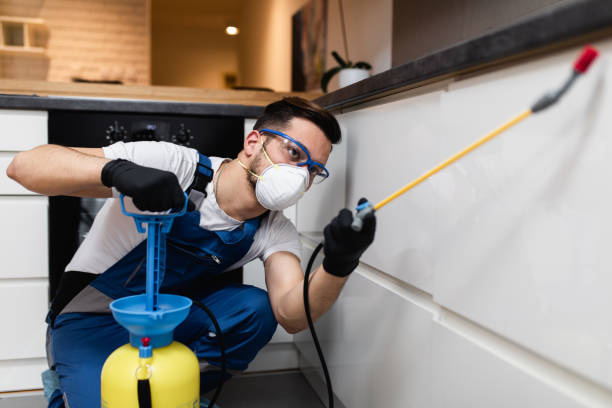 Professional Pest Control in Smith Mills, MA
