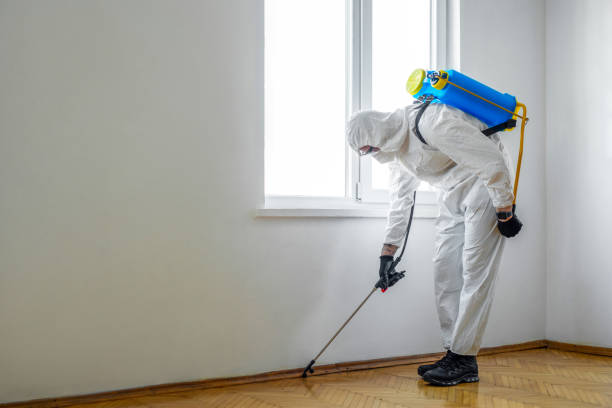 Best Mosquito Control Services  in Smith Mills, MA