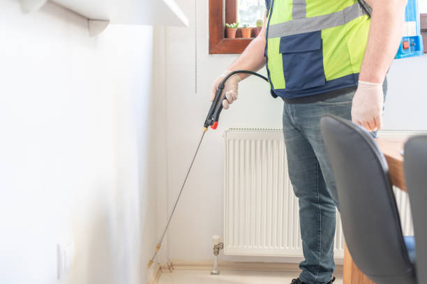 Best Ant Control Services  in Smith Mills, MA